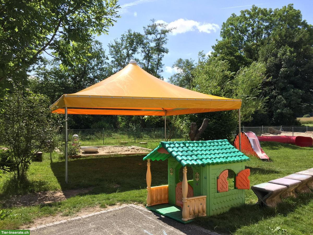 Bild 2: Texbau Weidezelt Pavillon Ascona, 6x4m