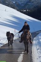 Reitbeteiligung für Shetty in Escholzmatt LU