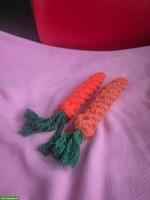 Hundespielzeuge Kau-Karotte zu verkaufen