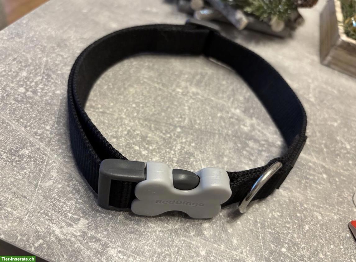 Bild 2: Diverse neue Hundeartikel M-XL zu verkaufen