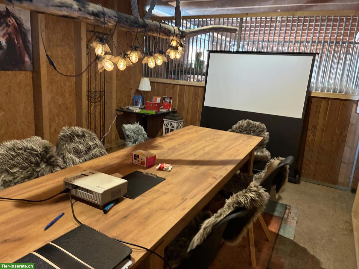 Bild 5: Selbstversorger/in mit 2-3 Kleinpferden gesucht in Kosthofen BE