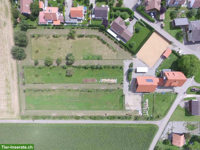 Bild 2: Paddock Trail Gunterswilen ein Platz frei ab Mai 26