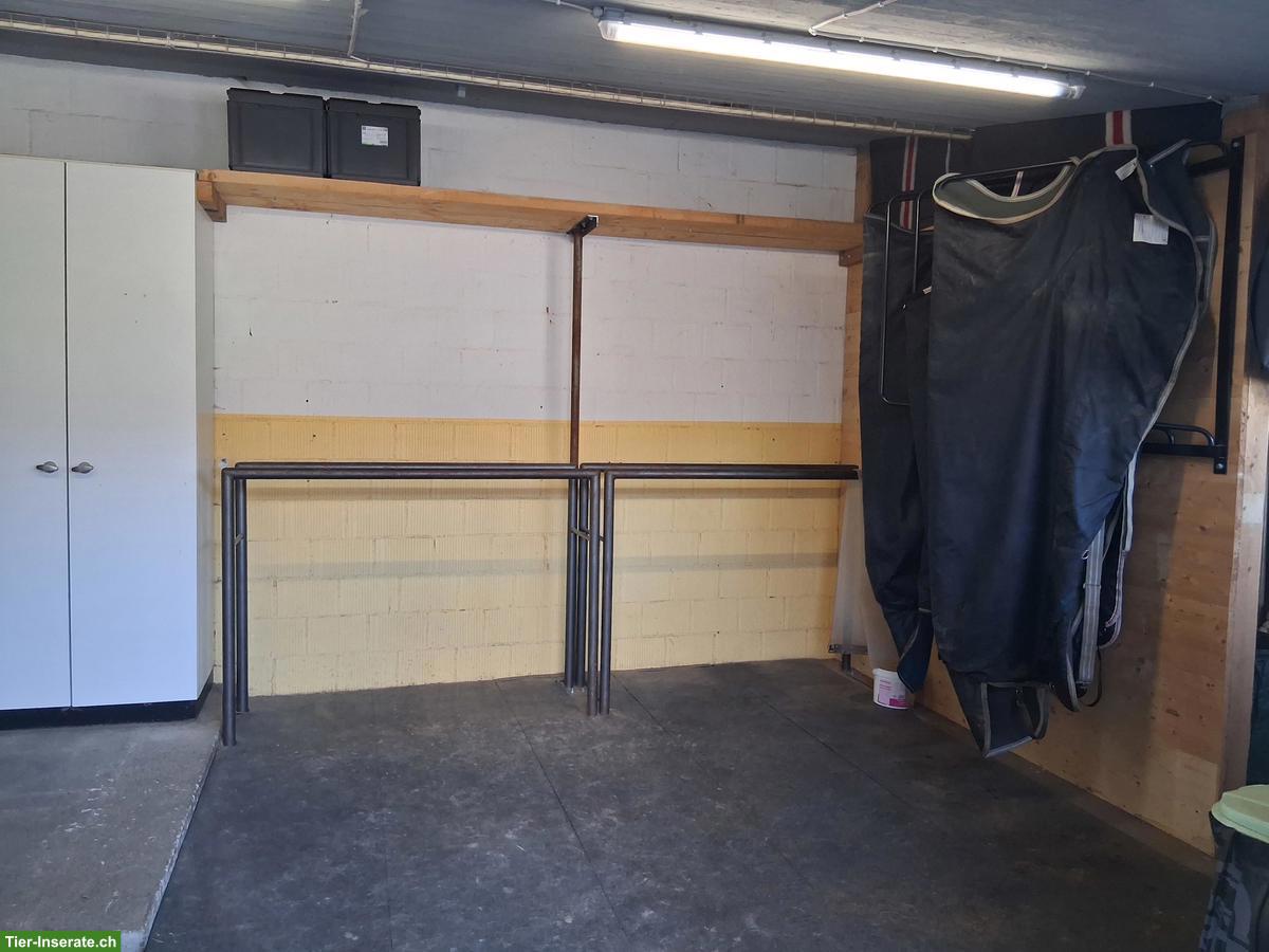 Bild 5: Doppelauslaufbox frei in kleinem Privatstall im ZH-Oberland