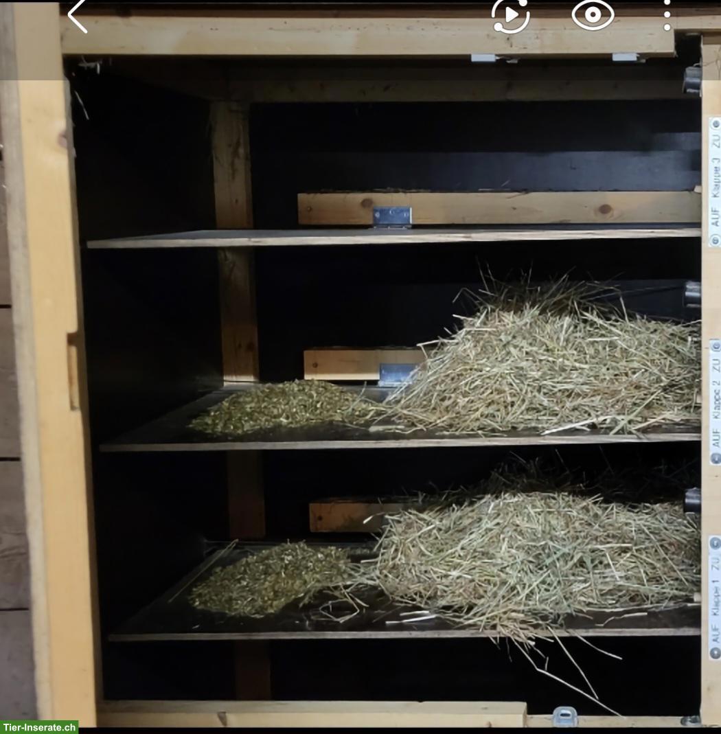 Bild 2: Occasion Heu-/Futterautomat zu verkaufen