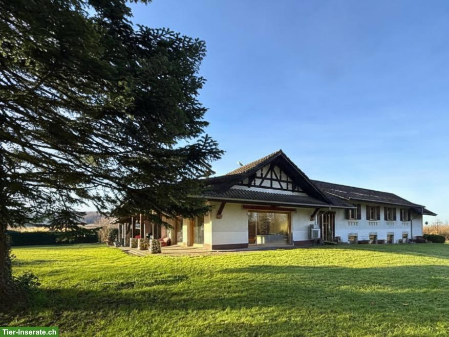 Anwesen für Hundezucht / Pferdehaltung – 3 ha umzäunt – Nähe Basel