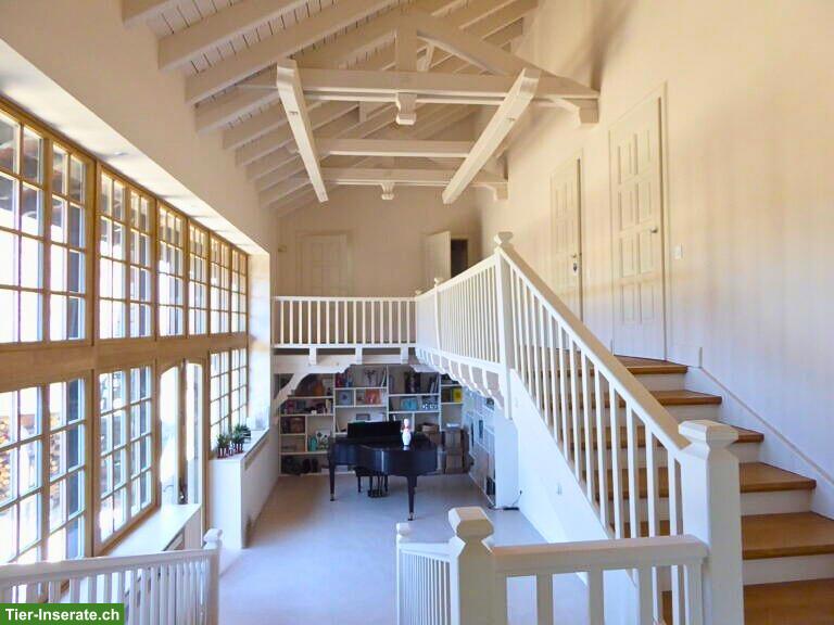 Bild 3: Anwesen für Hundezucht / Pferdehaltung – 3 ha umzäunt – Nähe Basel