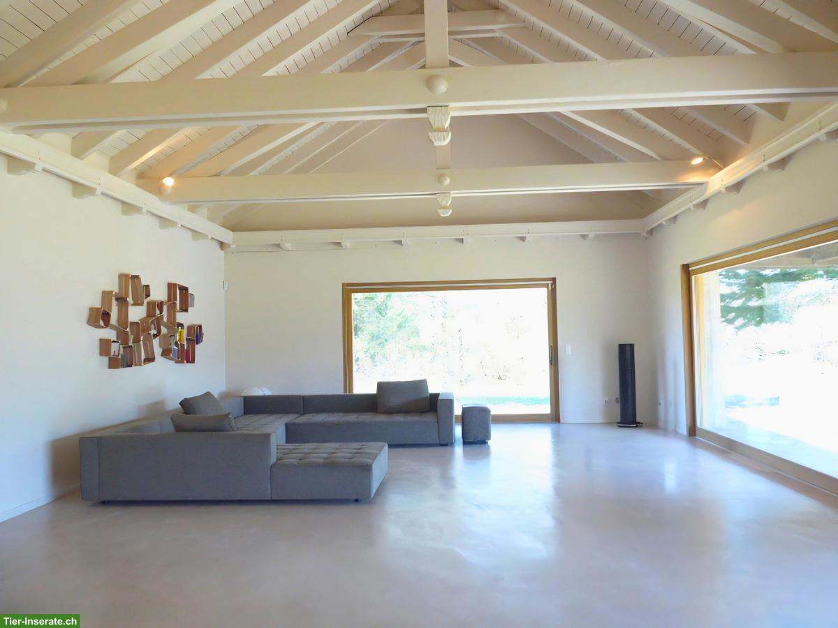 Bild 4: Anwesen für Hundezucht / Pferdehaltung – 3 ha umzäunt – Nähe Basel