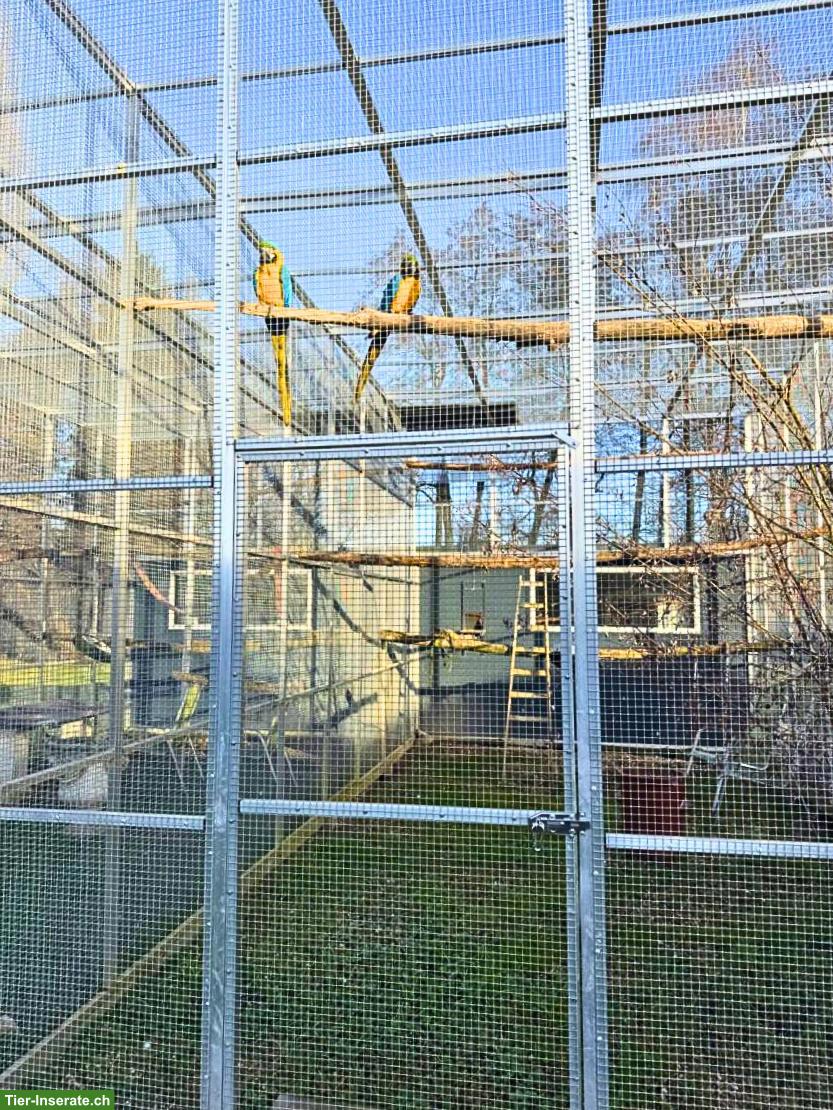 Bild 9: Anwesen für Hundezucht / Pferdehaltung – 3 ha umzäunt – Nähe Basel