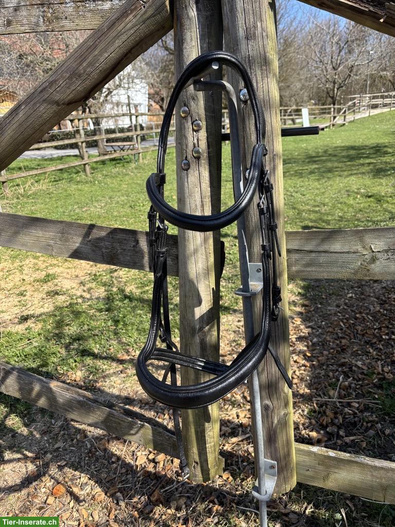 Zaum Gently Anatomical Innovation, selten gebraucht