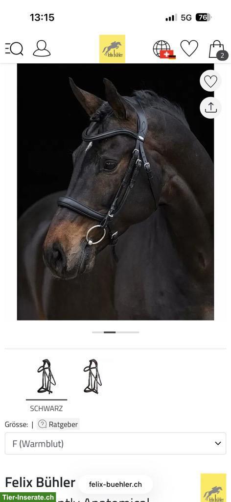 Bild 3: Zaum Gently Anatomical Innovation, selten gebraucht