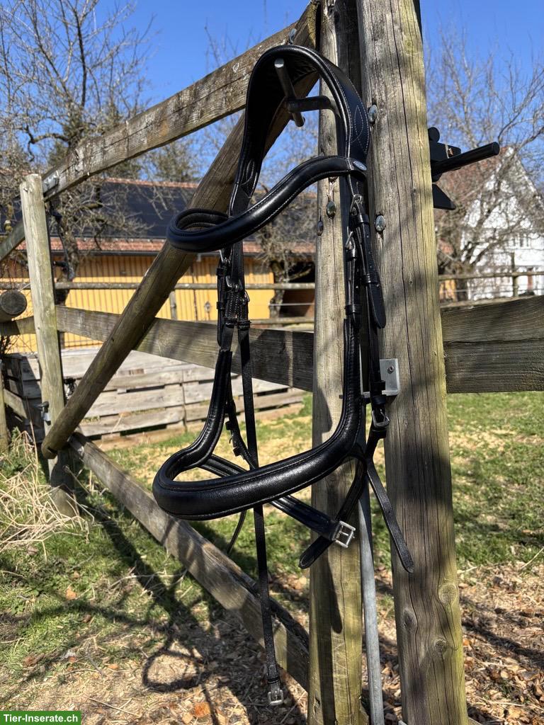 Bild 4: Zaum Gently Anatomical Innovation, selten gebraucht