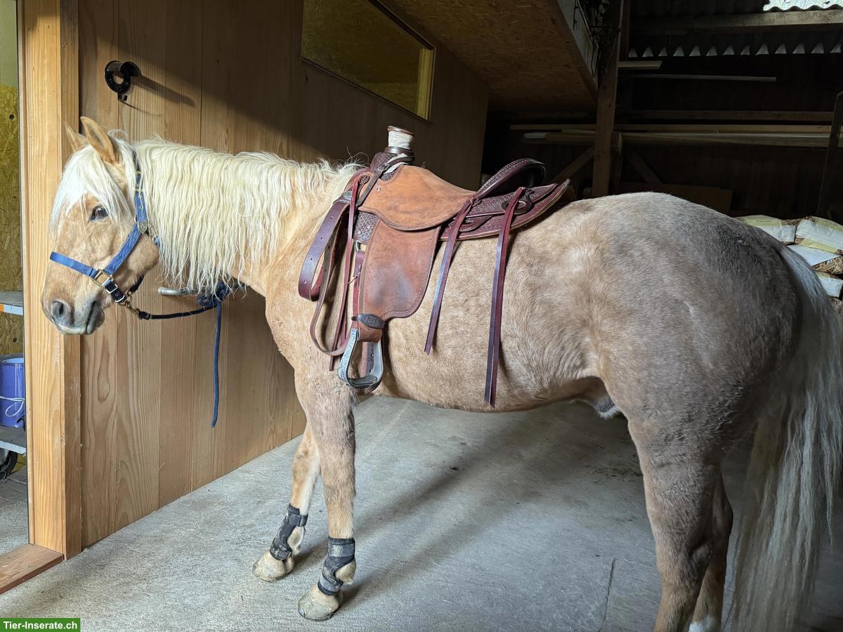 Bild 5: Deuber Westernsattel DP Wade zu verkaufen