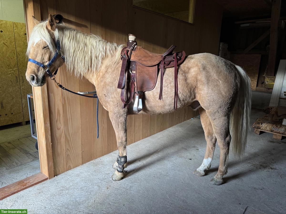 Bild 6: Deuber Westernsattel DP Wade zu verkaufen