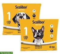 Scalibor Ungeziefer Halsband für Hunde 🐶