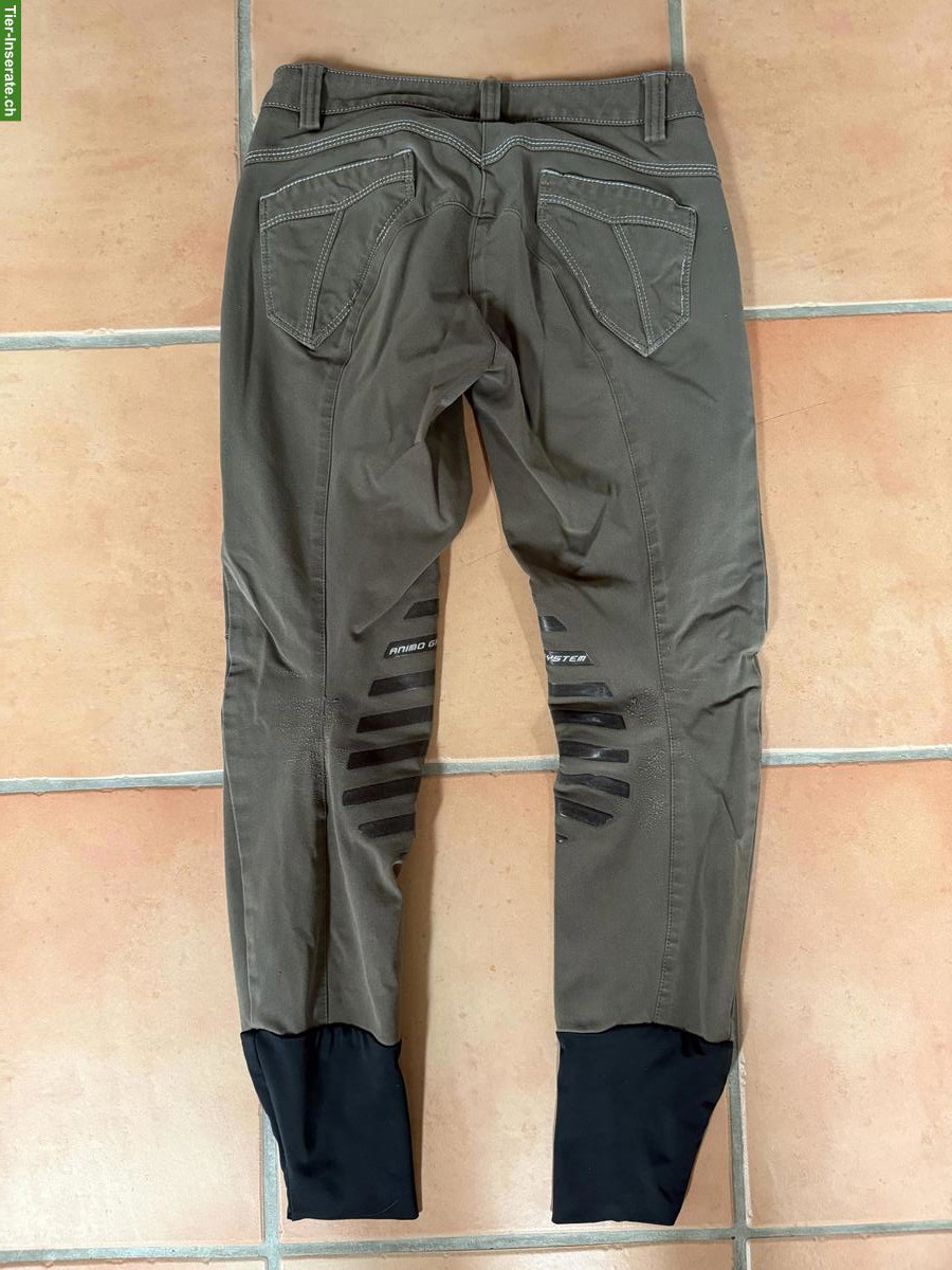 Bild 3: Ältere Reithosen 34/XS günstig abzugeben