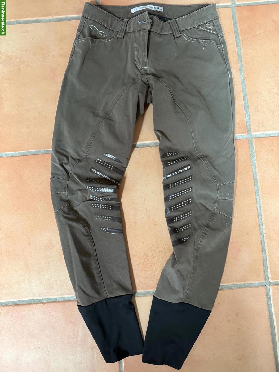 Bild 4: Ältere Reithosen 34/XS günstig abzugeben