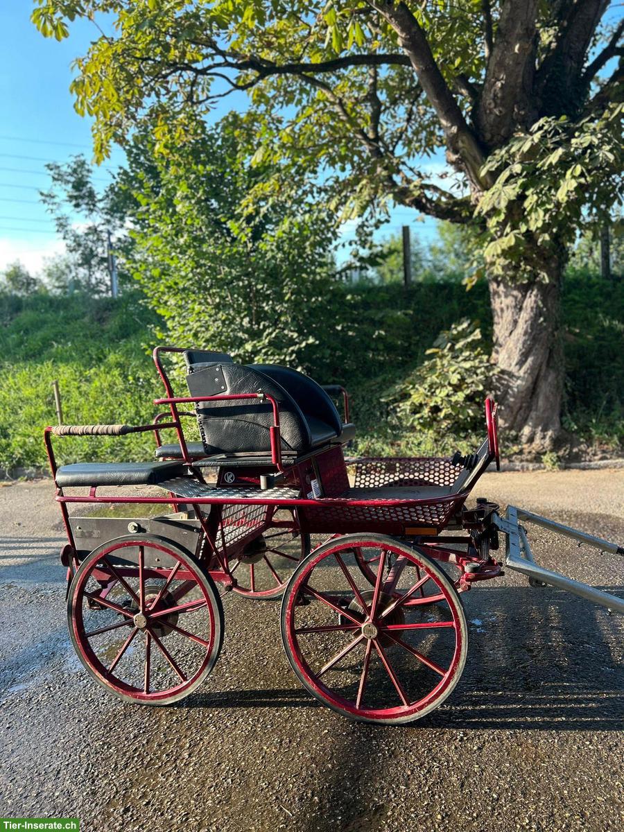 Kühnle Ponykutsche zu verkaufen