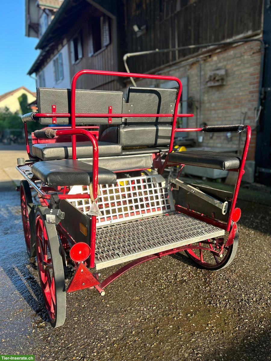Bild 3: Kühnle Ponykutsche zu verkaufen