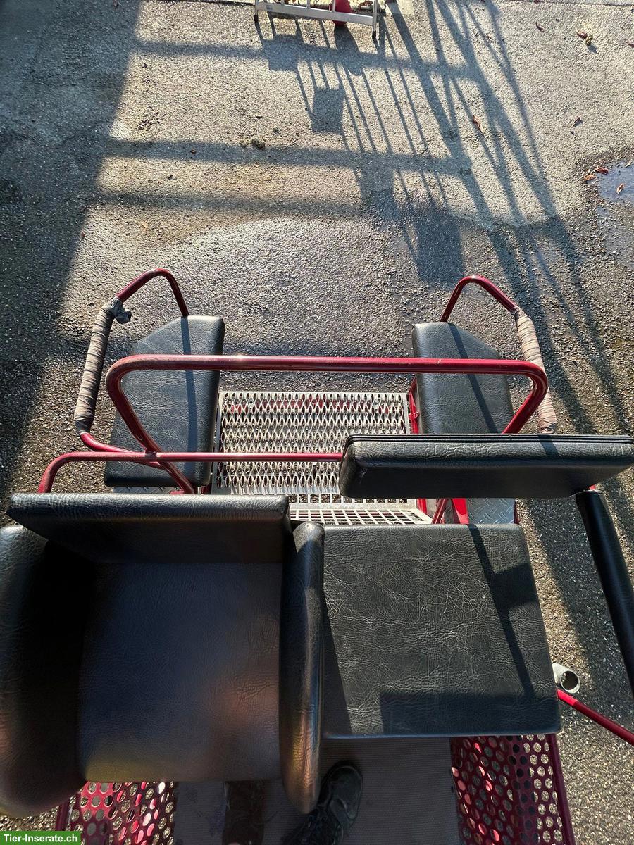 Bild 4: Kühnle Ponykutsche zu verkaufen