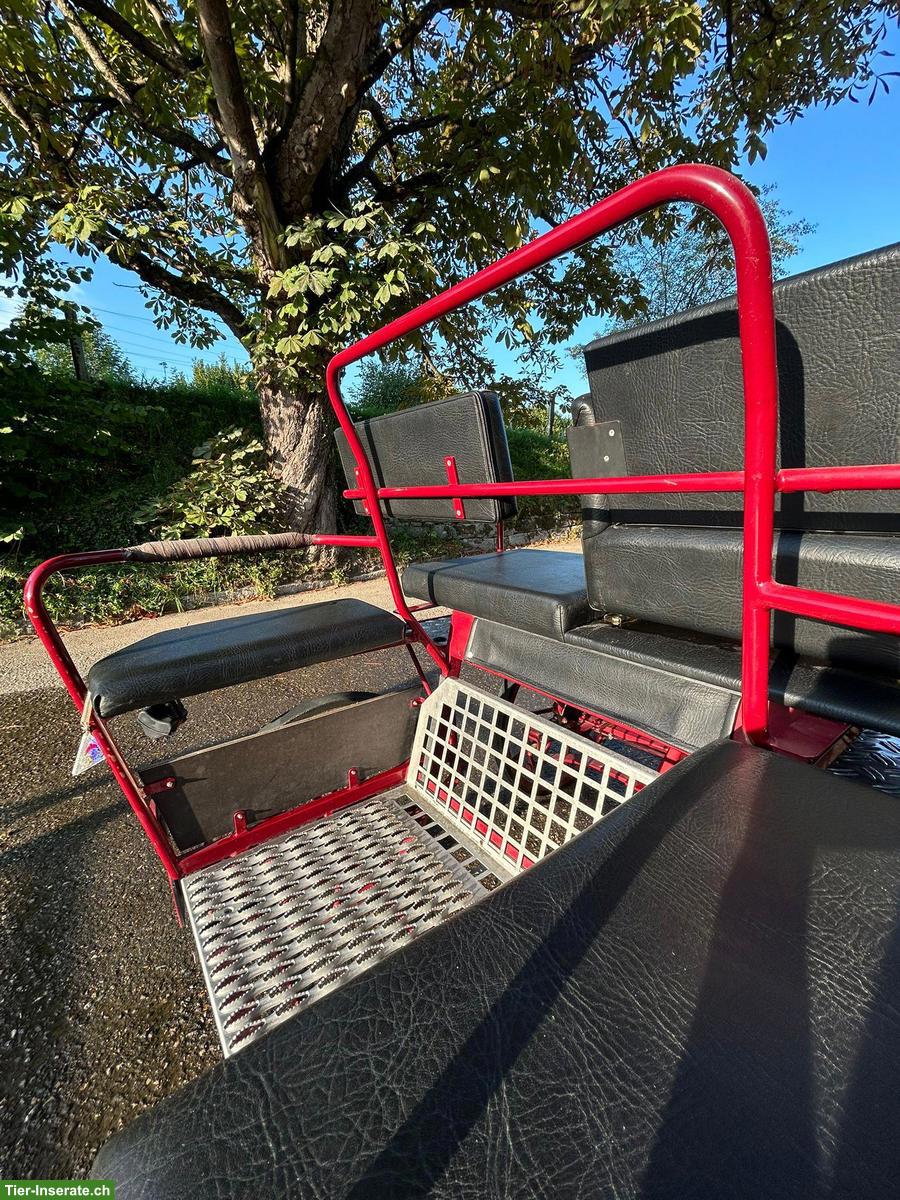 Bild 5: Kühnle Ponykutsche zu verkaufen