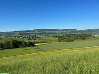 Grosse Pferdeboxe mit Auslauf frei im Zürcher Oberland