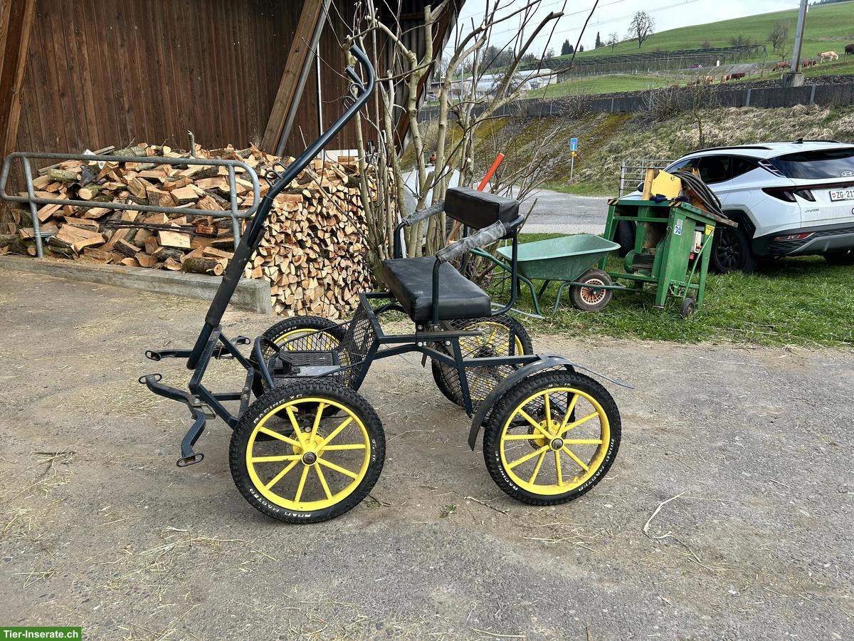 Ponykutsche Mini 1 zu verkaufen