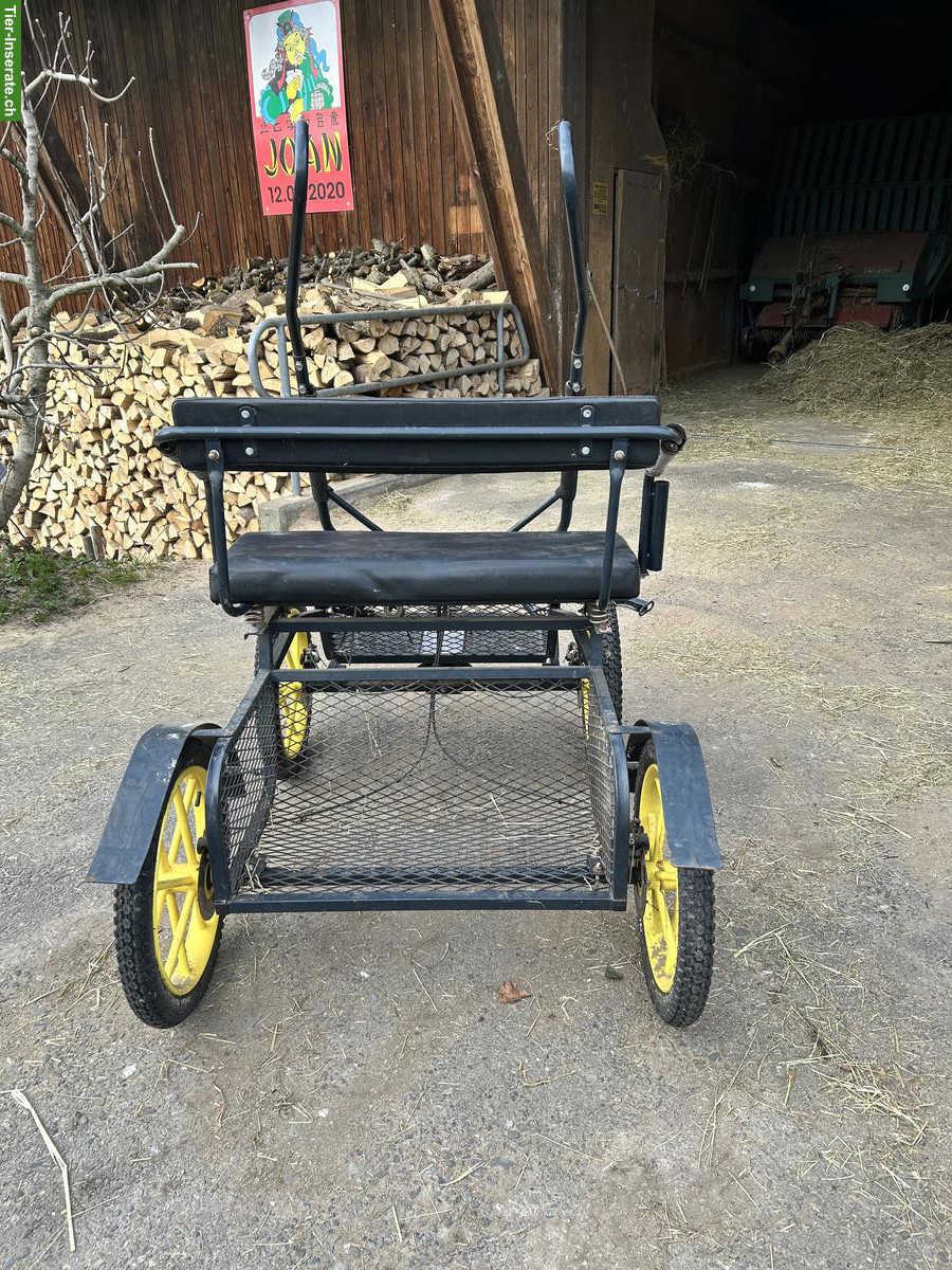 Bild 3: Ponykutsche Mini 1 zu verkaufen