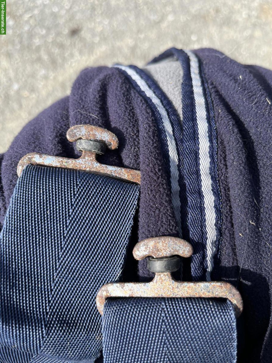 Bild 4: Pferdedecken Grösse 145cm zu verkaufen