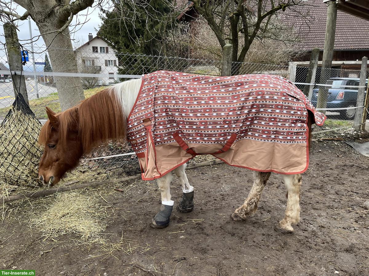 Bild 7: Pferdedecken Grösse 145cm zu verkaufen