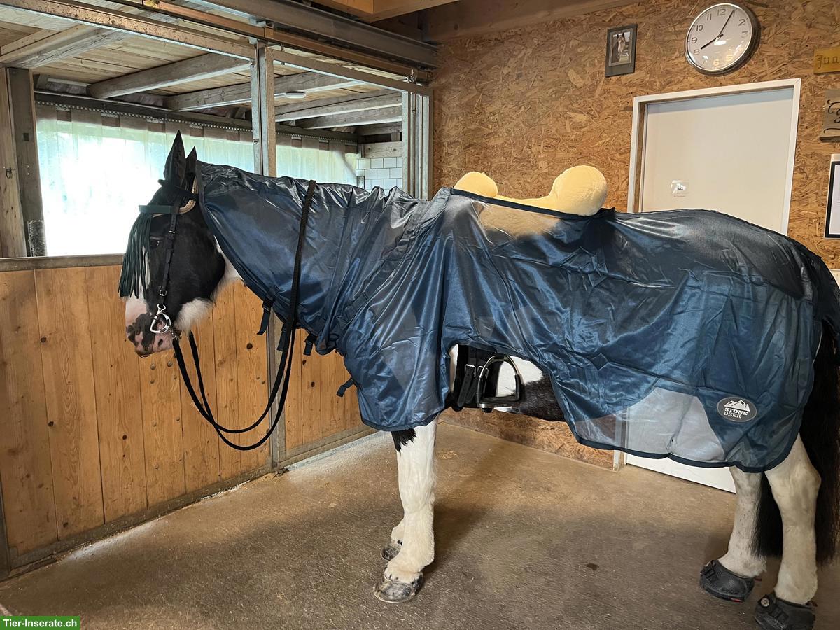 Bild 9: Pferdedecken Grösse 145cm zu verkaufen