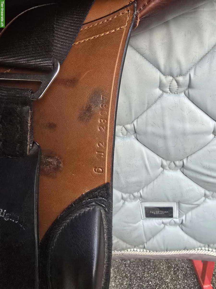 Bild 2: Springsattel Balance Extreme Jump 17.5 Zoll