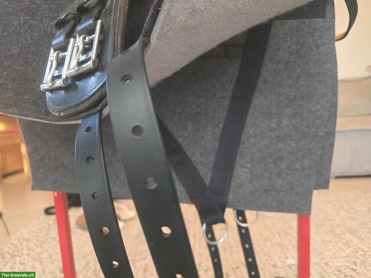 Bild 2: Filtzsattel mit Steigbügeldecke zu verkaufen
