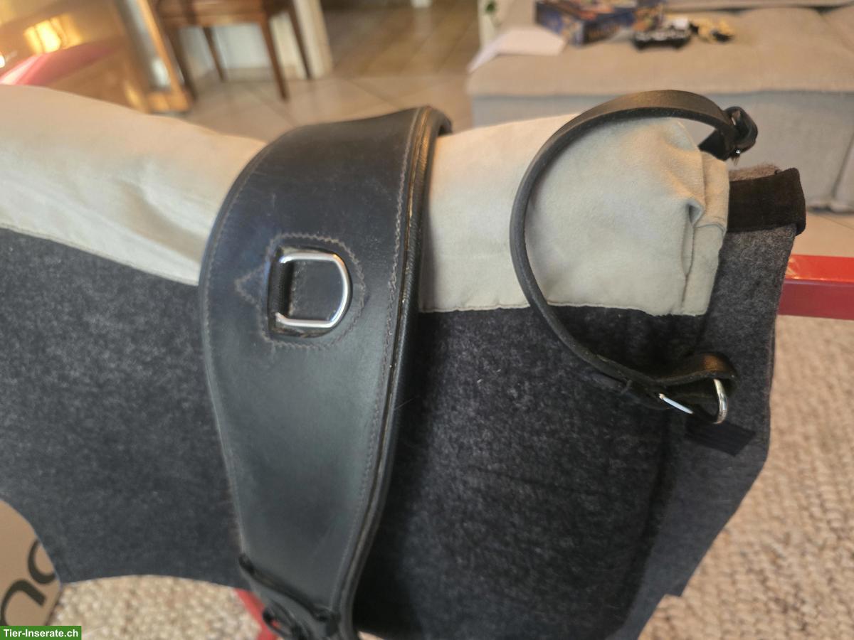 Bild 3: Filtzsattel mit Steigbügeldecke zu verkaufen