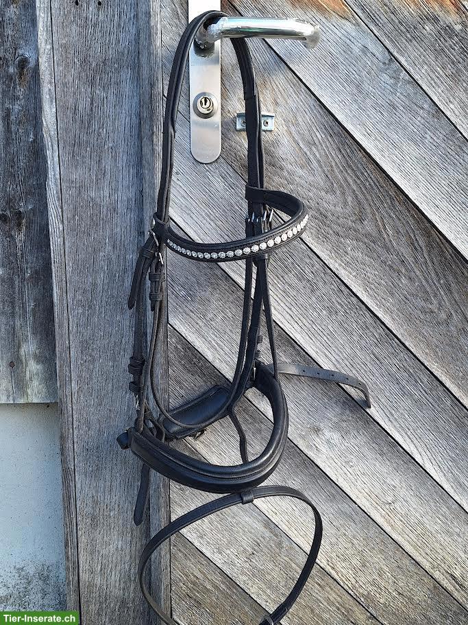 Zaum Gr. Full zu verkaufen
