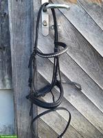 Zaum Gr. Full zu verkaufen