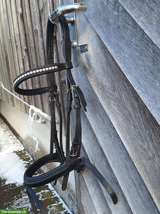 Bild 2: Zaum Gr. Full zu verkaufen