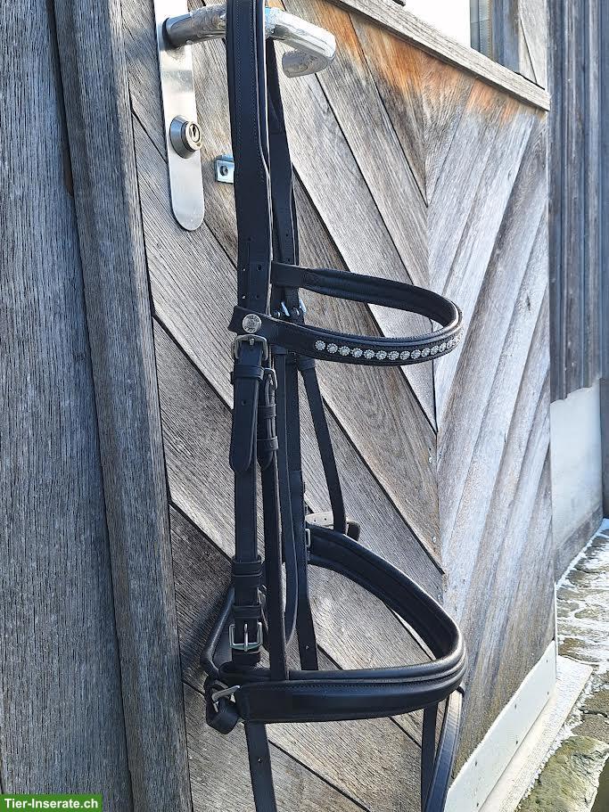 Bild 3: Zaum Gr. Full zu verkaufen