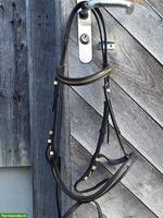 Zaum Gr. Full mit goldigem Stirn und Nasenband