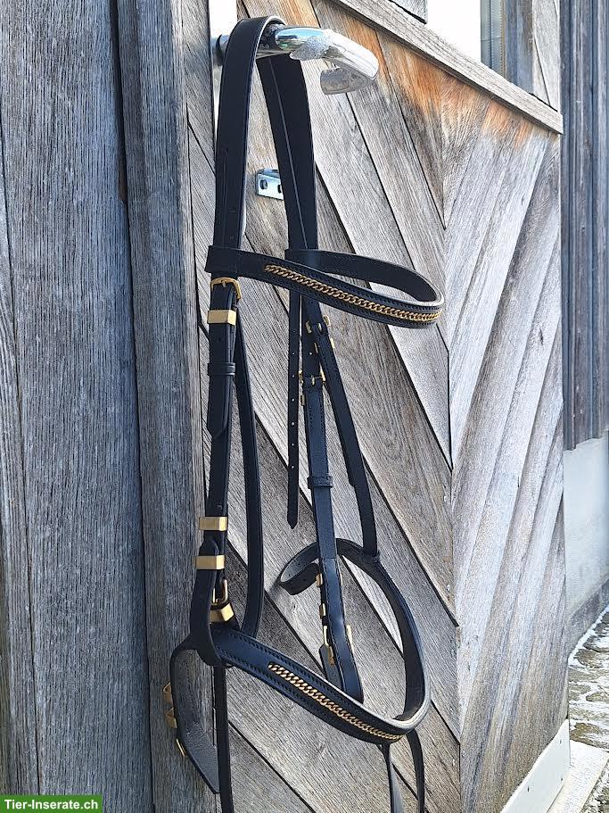 Bild 2: Zaum Gr. Full mit goldigem Stirn und Nasenband