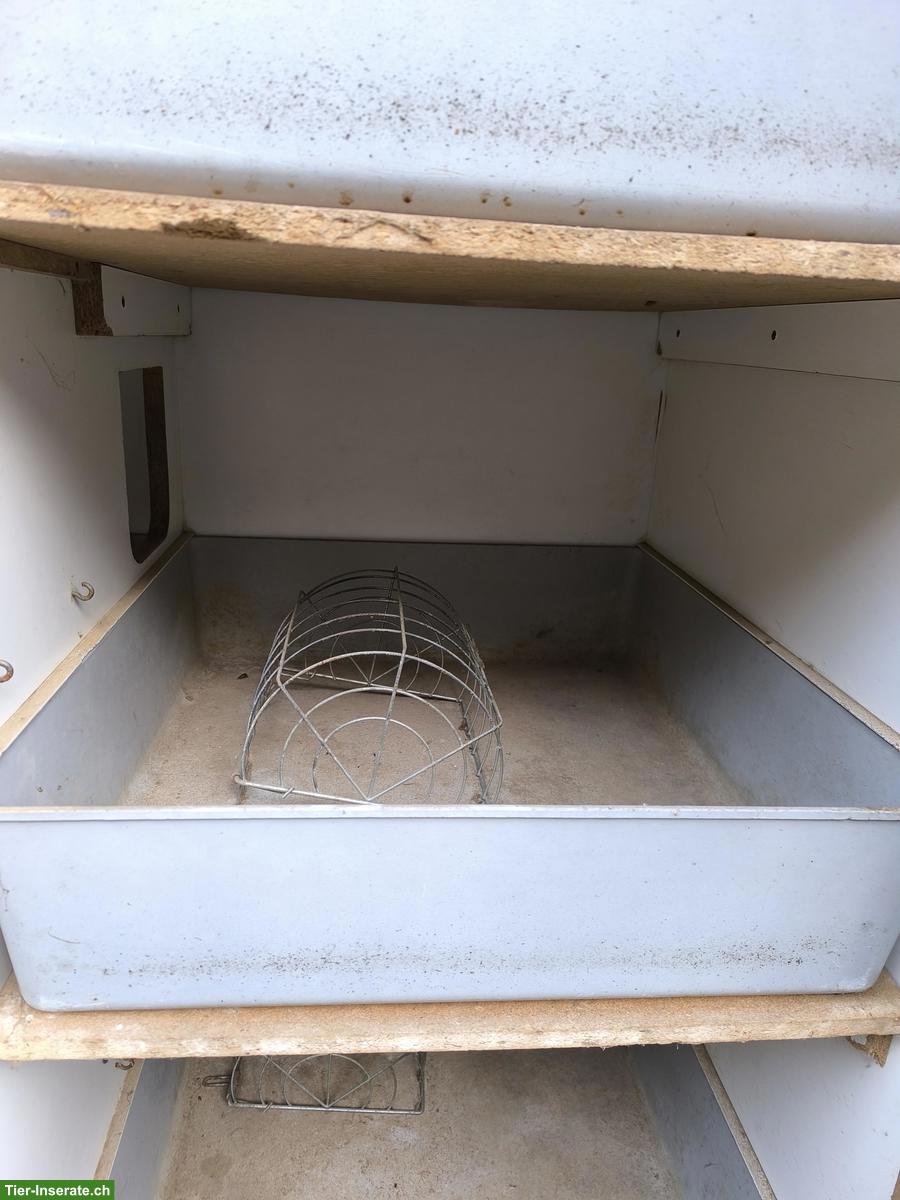 Bild 3: Massiver 8er Kaninchenstall zu verkaufen