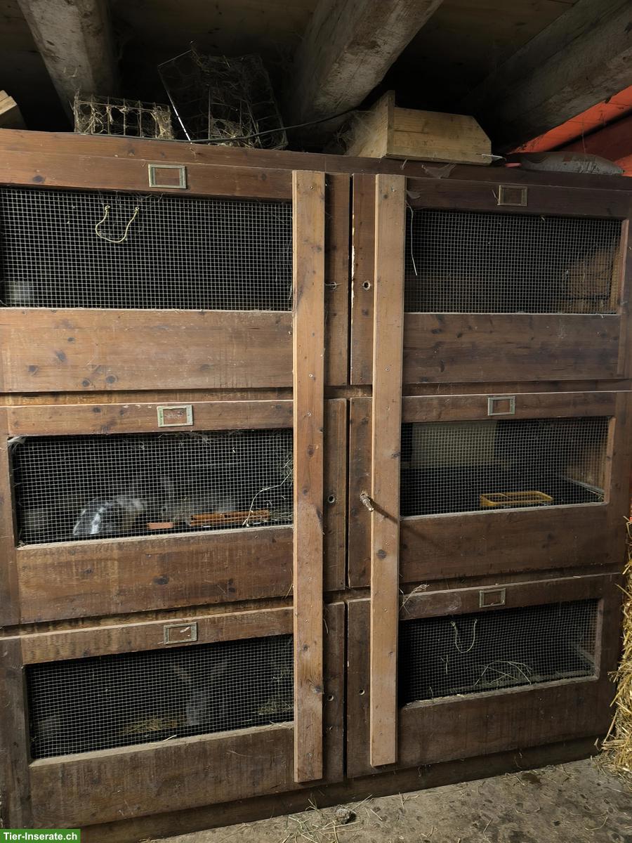 Grosser Kaninchenstall zu verkaufen