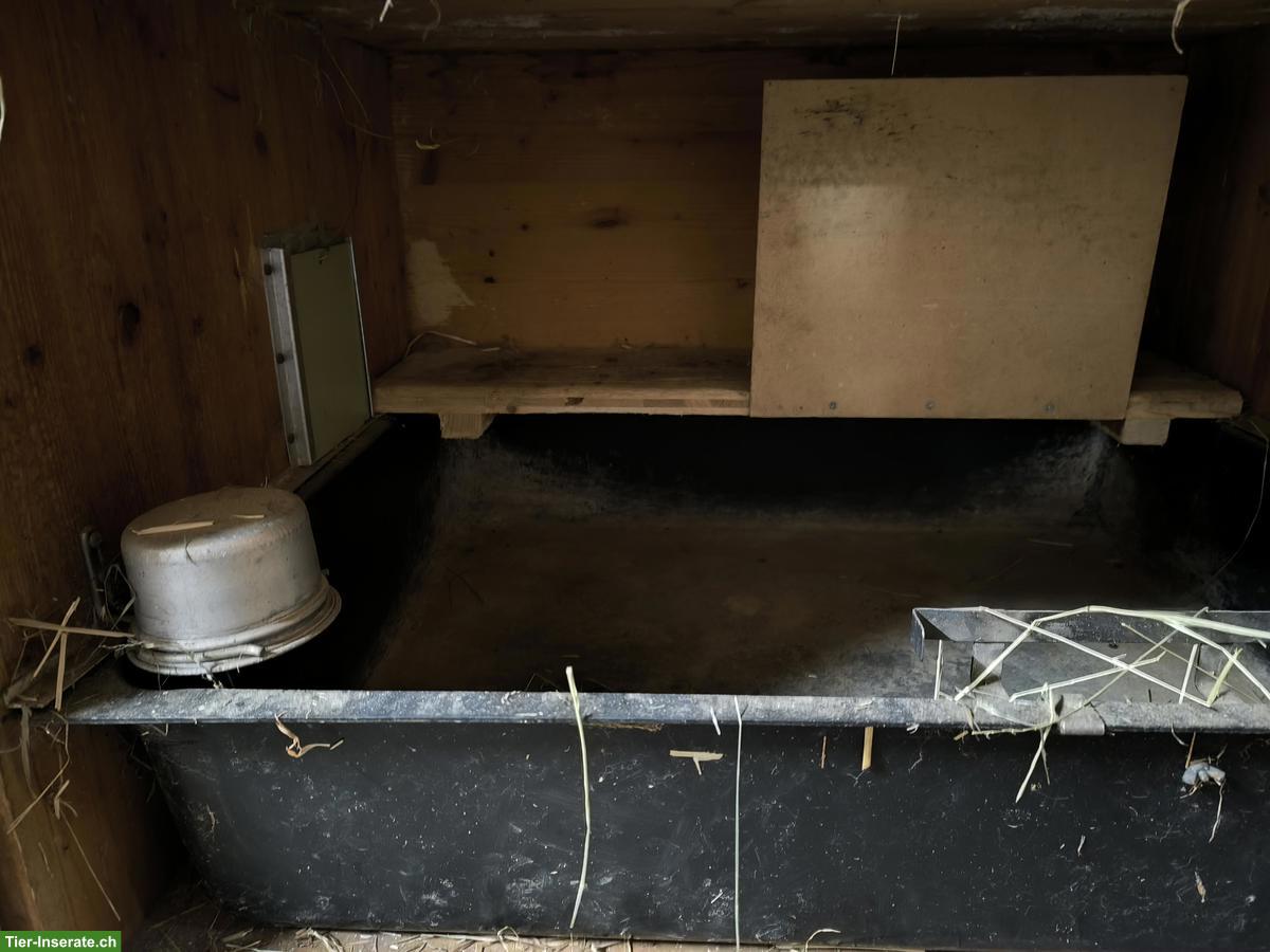 Bild 2: Grosser Kaninchenstall zu verkaufen