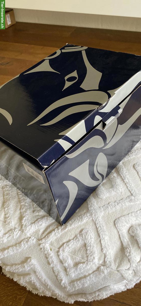 Bild 5: Neu: Reithelm Harry's Horse Pro F1 zu verkaufen