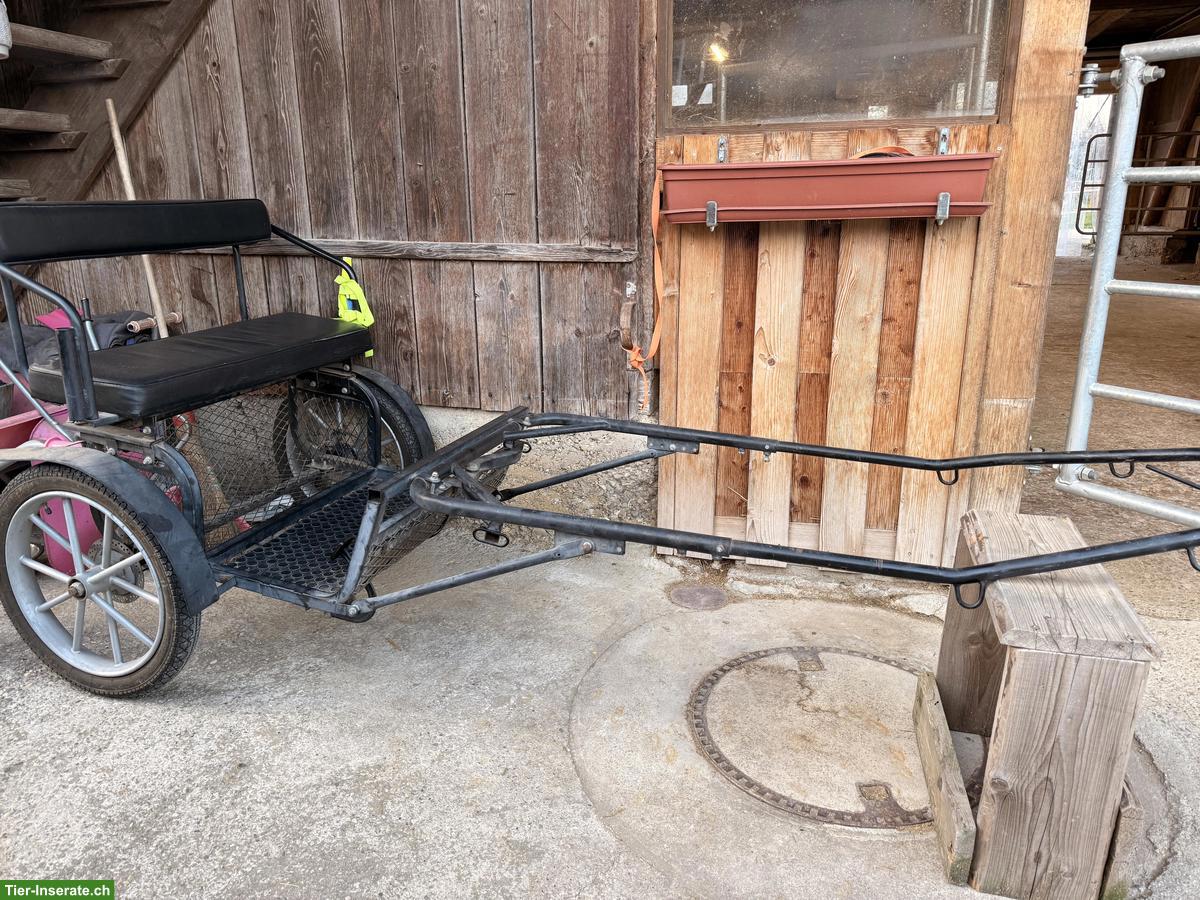 Sulky für Ponys (einspännig) zu verkaufen