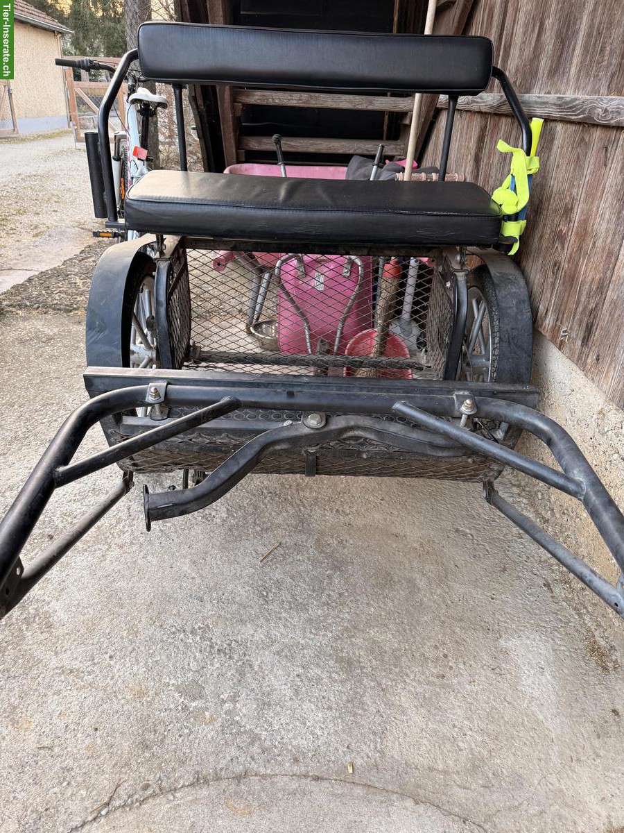 Bild 2: Sulky für Ponys (einspännig) zu verkaufen