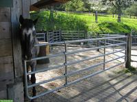 Freie Auslaufboxe in Eschenz TG zu vermieten