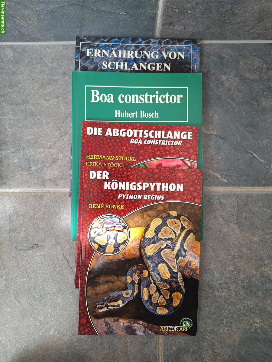 Bild 2: Diverse Bücher Terraristik/Amphibien/Reptilien abzugeben