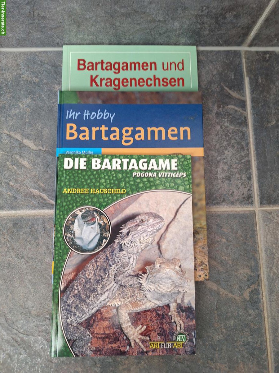 Bild 3: Diverse Bücher Terraristik/Amphibien/Reptilien abzugeben