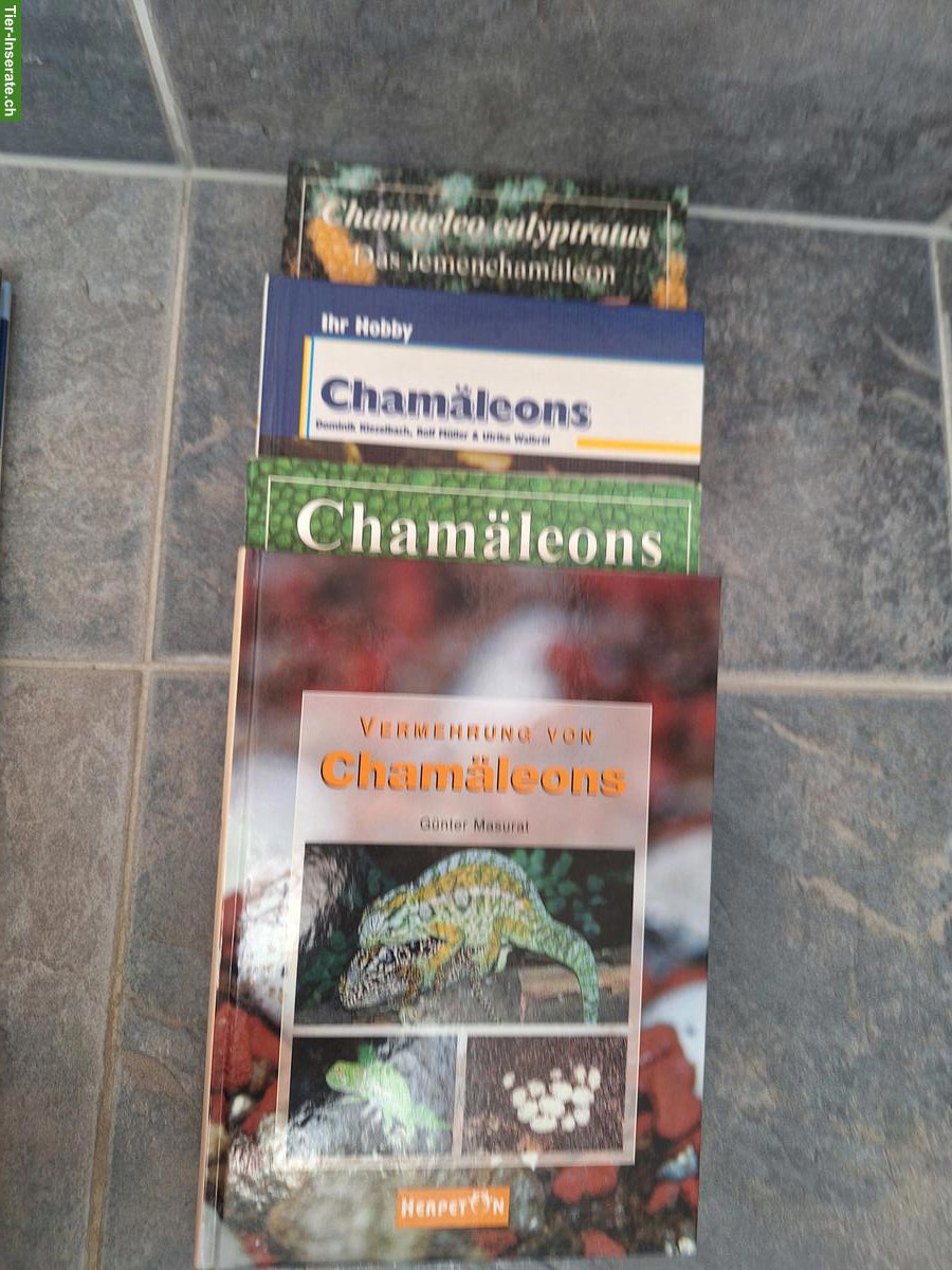 Bild 4: Diverse Bücher Terraristik/Amphibien/Reptilien abzugeben