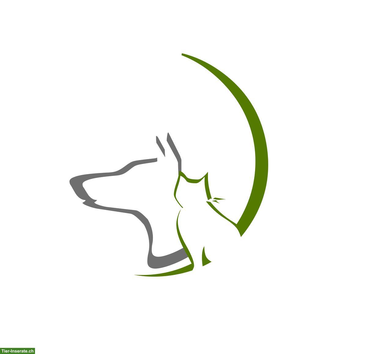 Tierheilpraxis und Mensch-Hundecoaching